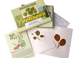 Гербарий "Систематика растений. Семейство Розоцветные" (раздаточный) - fgospostavki.ru - Ногинск