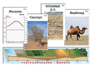 Модель-аппликация "Природные зоны" - fgospostavki.ru - Ногинск
