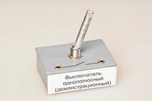 Выключатель однополюсный (демонстрационный) - fgospostavki.ru - Ногинск