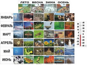 Фенологические наблюдения - fgospostavki.ru - Ногинск