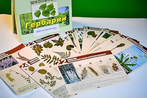 Гербарий к курсу основ общей биологии - fgospostavki.ru - Ногинск
