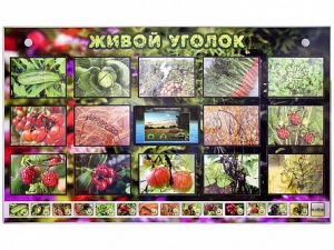 Комплект оборудования "Живой уголок" (растения) с тифлопереводом и сурдокомментариями - fgospostavki.ru - Ногинск