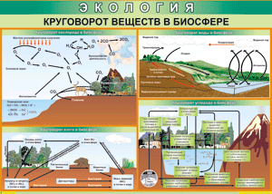 Таблица "Круговорот веществ в биосфере" (100х140 сантиметров, винил) - fgospostavki.ru - Ногинск
