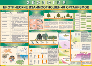 Таблица "Биотические взаимоотношения организмов" (100х140 сантиметров, винил) - fgospostavki.ru - Ногинск