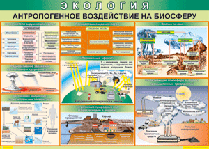 Таблица "Антропогенное воздействие на биосферу" (100х140 сантиметров, винил) - fgospostavki.ru - Ногинск