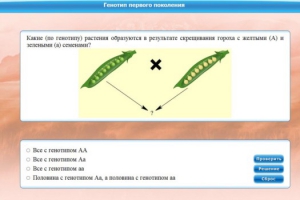 Интерактивные курсы. Биология 11 класс. Базовый. - fgospostavki.ru - Ногинск