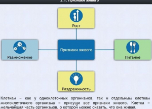 Интерактивные курсы. Биология 5 класс. Базовый - fgospostavki.ru - Ногинск