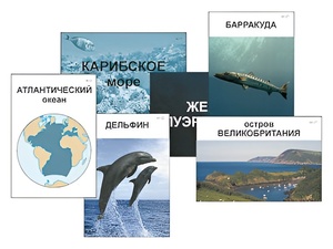 Модель-аппликация "Океаны. Знакомство" (ламинированная) - fgospostavki.ru - Ногинск