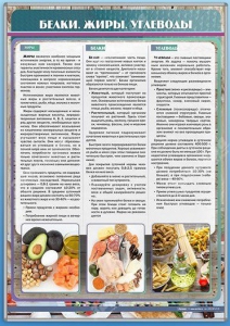 Стенд "Белки. Жиры. Углеводы" - fgospostavki.ru - Ногинск