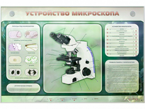Электрифицированный стенд "Устройство микроскопа и правила работы c ним" - fgospostavki.ru - Ногинск