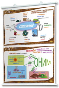 Плакаты по русскому языку для оформления кабинета. - fgospostavki.ru - Ногинск