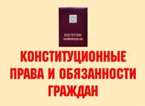 Комплект плакатов "Конституционные права и обязанности граждан" - fgospostavki.ru - Ногинск