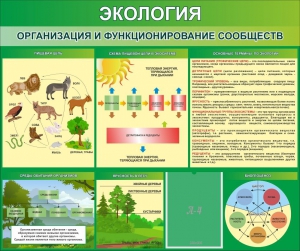 Стенд "Экология. Организация и функционирование сообществ" - fgospostavki.ru - Ногинск