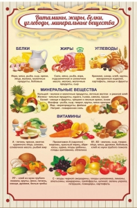 Стенд "Витамины, жиры, белки" - fgospostavki.ru - Ногинск