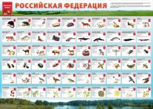 Стенд "Красная книга РФ" - fgospostavki.ru - Ногинск