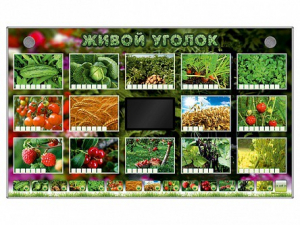 Комплект оборудования "Живой уголок" (растения) - fgospostavki.ru - Ногинск