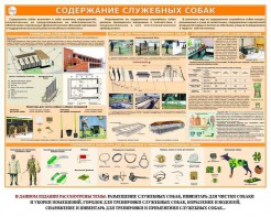 Комплект плакатов "Кинология" - fgospostavki.ru - Ногинск