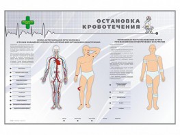 Электрифицированный стенд "Остановка кровотечения" - fgospostavki.ru - Ногинск
