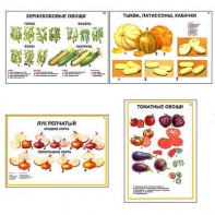 Плакаты ПРОФТЕХ "Ассортимент овощных культур" (12 пл, винил, 70х100) - fgospostavki.ru - Ногинск
