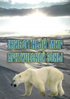 DVD "Животный мир Арктической зоны" - fgospostavki.ru - Ногинск