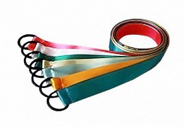 Лента гимнастическая на кольце (0,25 метра) - fgospostavki.ru - Ногинск