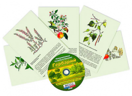 Интерактивный наглядный комплекс "Гербарий "Для начальной школы" - fgospostavki.ru - Ногинск