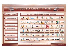 Трехсекционный базовый комплект "Травмы. Кровотечения. Ожоги" для учащихся общеобразовательных учреждений - fgospostavki.ru - Ногинск