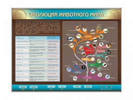 Интерактивный электрифицированный стенд "Эволюция животного мира" - fgospostavki.ru - Ногинск