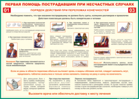 Таблица "Порядок действий при переломах конечностей" (100х140 сантиметров, винил) - fgospostavki.ru - Ногинск