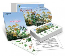 Комбинированное наглядное пособие «Растения» - fgospostavki.ru - Ногинск