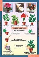 Комплект таблиц. Окружающий мир 1 класс. - fgospostavki.ru - Ногинск