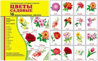 Демонстрационные карточки "Цветы садовые" - fgospostavki.ru - Ногинск