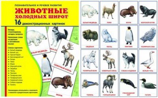 Демонстрационные карточки "Животные холодных широт" - fgospostavki.ru - Ногинск