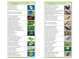 Комплект карточек (10) "Обучающий калейдоскоп. Природа" - fgospostavki.ru - Ногинск