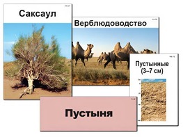 Модель-аппликация "Природные зоны России" (ламинированная) - fgospostavki.ru - Ногинск