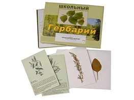 Гербарий "Лекарственные растения" (22 вида с иллюстрациями) - fgospostavki.ru - Ногинск