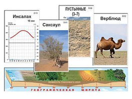 Модель-аппликация "Природные зоны" - fgospostavki.ru - Ногинск