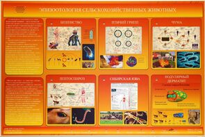 Электрифицированный стенд «Эпизоотология сельскохозяйственных животных» - fgospostavki.ru - Ногинск