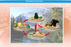 Интерактивные курсы. Биология 7 класс. Базовый. - fgospostavki.ru - Ногинск
