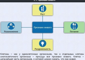 Интерактивные курсы. Биология 5 класс. Базовый - fgospostavki.ru - Ногинск