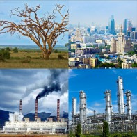 Модель-аппликация Биосфера и человек - fgospostavki.ru - Ногинск