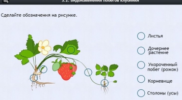 Интерактивные курсы. Биология 7 класс. Расширенный. - fgospostavki.ru - Ногинск