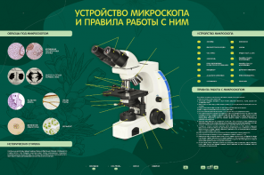 Электрифицированный стенд "Устройство микроскопа и правила работы c ним" - fgospostavki.ru - Ногинск