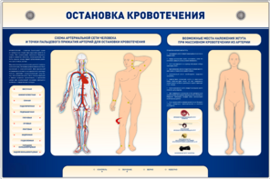 Электрифицированный стенд-тренажер "Остановка кровотечения" - fgospostavki.ru - Ногинск