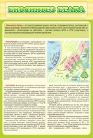 Стенд "Биосинтез белка" - fgospostavki.ru - Ногинск