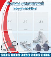 Стенд "Нормы физической подготовки" Вариант 2 - fgospostavki.ru - Ногинск