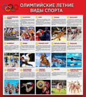 Стенд "Олимпийские летние виды спорта" - fgospostavki.ru - Ногинск