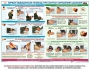 Комплект плакатов "Оказание первой доврачебной медицинской помощи" - fgospostavki.ru - Ногинск