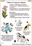 Комплект кодотранспарантов "Ядовитые растения" - fgospostavki.ru - Ногинск